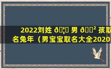 2022刘姓 🦆 男 🌲 孩取名兔年（男宝宝取名大全2020年免费姓刘）